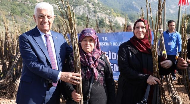 Muğla Büyükşehir Belediyesi 53 Bin Adet Meyve Fidanı Dağıtıyor