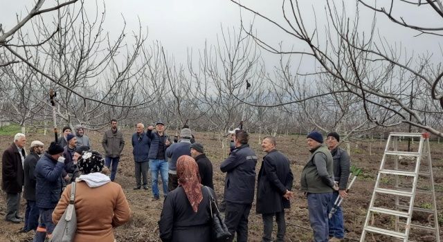 Niksar'da Ceviz Budama Kursu Tamamlandı