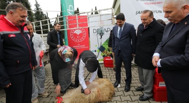 Şaftlı Koyun Kırkma Makinesi Teslim Töreni Yapıldı