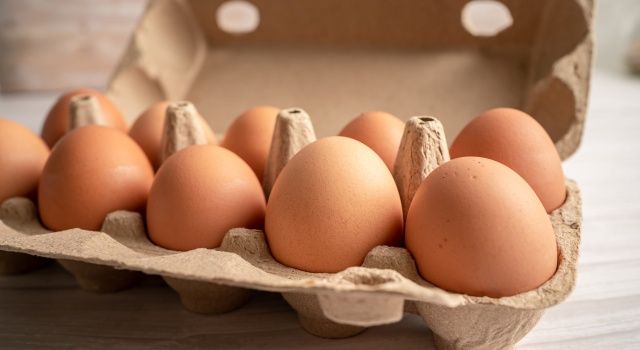 Tavuk Yumurtası Üretimi Son Bir Yılda Yüzde 4,2 Arttı
