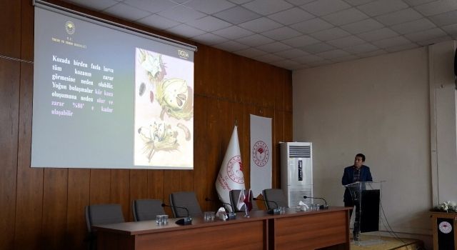 Adana’da Pembekurt Zararlısına Karşı Bilgilendirme Toplantısı Yapıldı