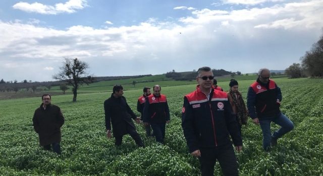 Balıkesir’de Yerli Tohumlarla Tarımın Geleceği Aydınlanıyor