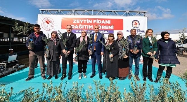 Büyükşehir’in zeytin fidanı seferberliği sürüyor