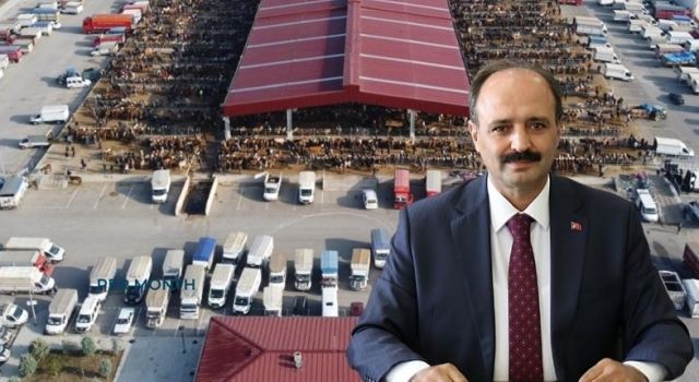 Çorum’da Şap Hastalığı Kontrol Altına Alındı: Hayvan Pazarları Yeniden Açılıyor