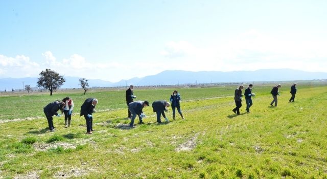 Denizli’de Tarla Fareleriyle Toplu Mücadele Çağrısı