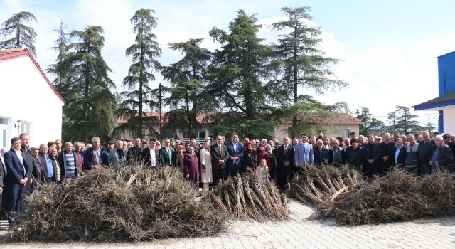 Dodurga’da Cennet Hurması Yetiştiriciliği İçin Büyük Adım