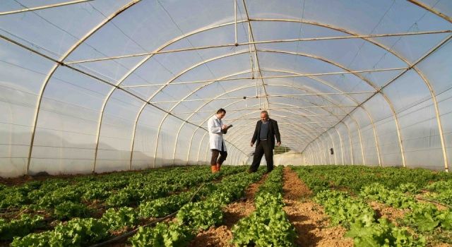 Fikir Sizden, Destek Bizden ile Tarıma Yüzde 75 Hibe