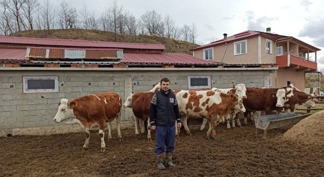 Giresun’da Çiftçilere Büyük Destek: Düve Alım Hibe Programı Başarıyla Devam Ediyor