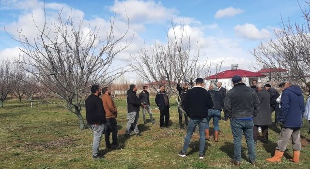 Iğdır’da Meyve Ağaçları İçin Budama Eğitimi Verildi