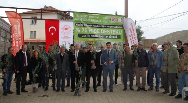 Isparta’da Zeytin Üretimini Geliştirme Projesi Hayata Geçiriliyor