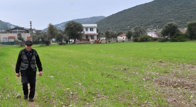 İzmir Büyükşehir çiftçi için arazilerini üretime kazandırdı