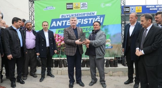 Konya Büyükşehir’den Yerköprü Havzasındaki Üreticiye Antep Fıstığı Desteği