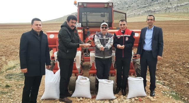 Konya’da Tarım Arazilerinin Verimliliği Artırılıyor: Yeni Projeler ve Yatırımlar