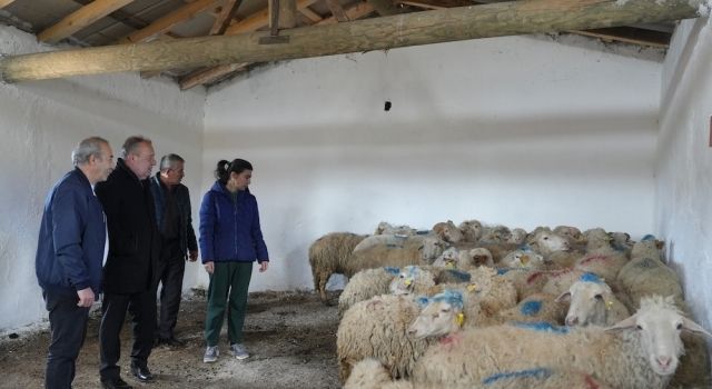 Yangın Mağduru Ailenin Yüzünü Büyükşehir Güldürdü