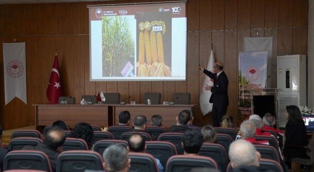 Yeni Mısır Çeşidi ‘Kale’, Adana’da Üreticilere Tanıtıldı