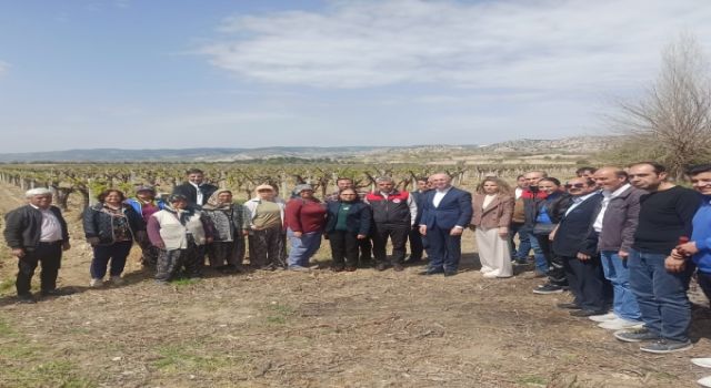 Bağlarda Salkım Güvesine Karşı Biyoteknik Mücadele Devam Ediyor