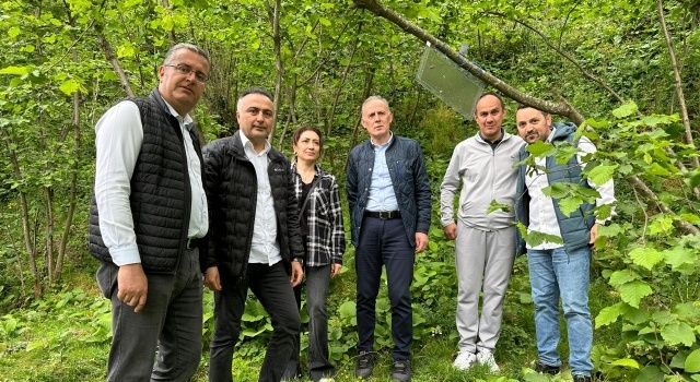 Gıda ve Kontrol Genel Müdürü Dr. Ersin Dilber, Giresun İlini Ziyaret Etti