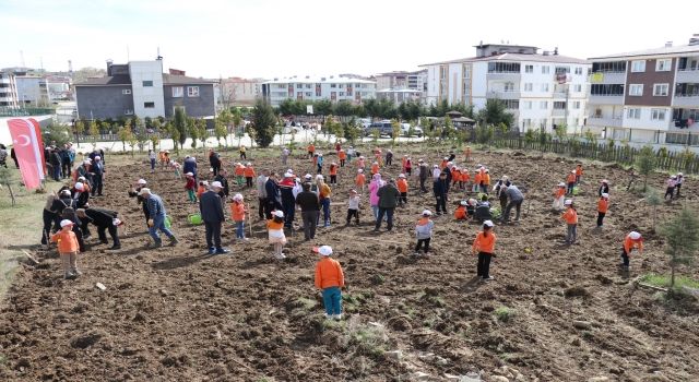 Kavak İlçesi Yaşar Doğu İlköğretim Okulunda Meyve Fidanı Dikimi Gerçekleştirildi