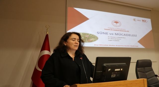 Samsun' da buğdayda süne ile mücadele eğitimi