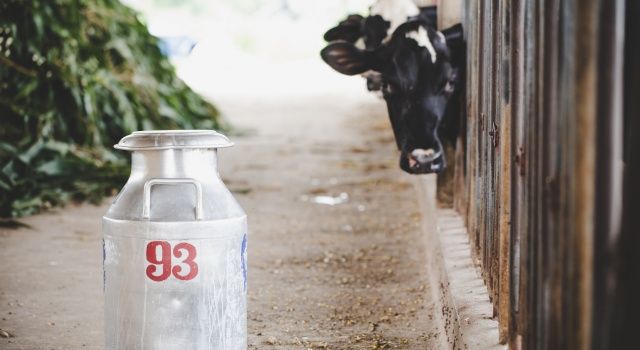 TÜSEDAD, Mart ayı çiğ süt maliyetini açıkladı: 1 litre soğutulmuş çiğ sütün üretim maliyeti 16,76 TL
