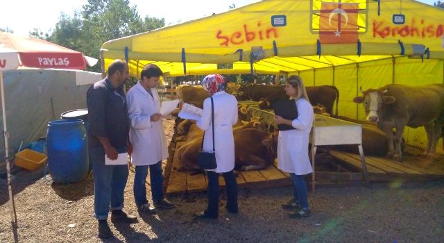 Giresun İl Tarım ve Orman Müdürlüğü Kurban Bayramı Öncesinde Hayvan Sevkiyatı Hakkında Uyarıyor