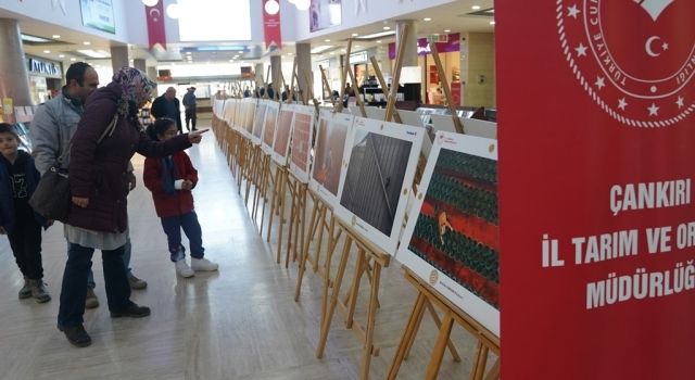 Çankırı'da 14. Tarım Orman ve İnsan Fotoğraf Sergisi Açıldı