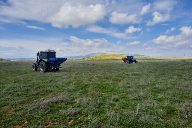 Denizli Meraları Canlanıyor: Hayvancılığa Büyük Destek, Gübreleme Çalışmaları Başladı!
