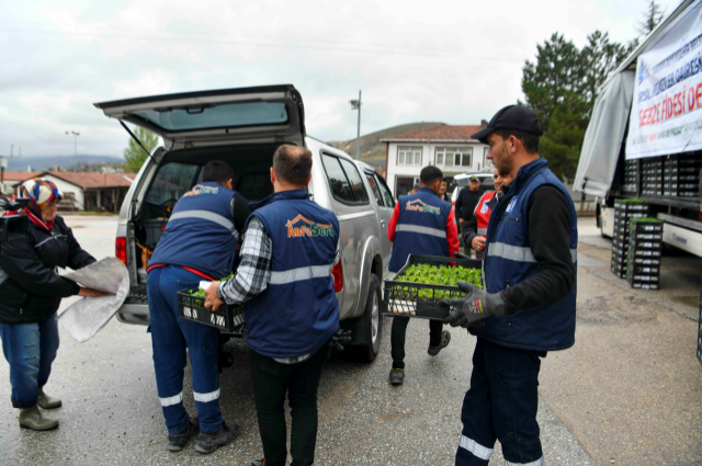 Ankara Büyükşehir’den 9 Bin Üreticiye Sebze Fidesi Desteği