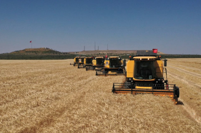 Ceylanpınar’da Hasat Sezonu Başladı: 562 Bin Dekarda Üretim Hedefi