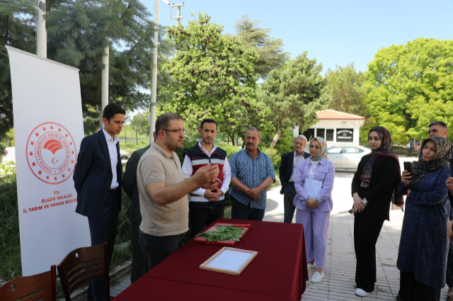 Elazığ’da İpekböcekçiliği Yeniden Canlanıyor