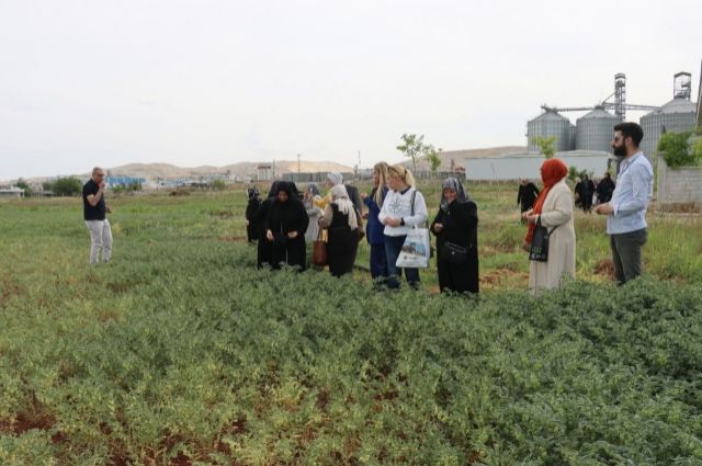 Emekli Kadınlara Yeşil Dokunuş: Şanlıurfa'da Süs Bitkisi Eğitimi