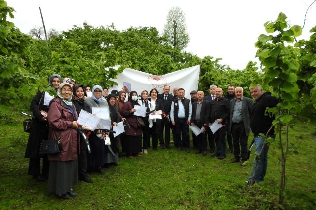 Giresun'da Fındık Üreticilerine Budama Eğitimi