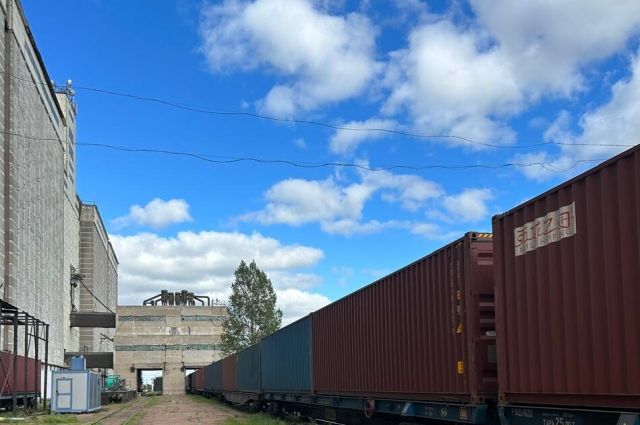 Kazakistan’dan Vietnam’a 15 bin tonluk buğday ihracatı