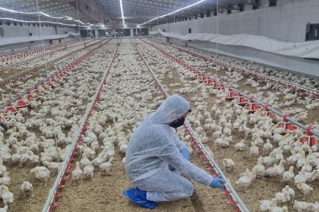 Keskinoğlu'ndan 14 Mayıs Mesajı: Çiftçilerimiz Birer İş İnsanı, Kırsal Kalkınmanın Gizli Kahramanları!
