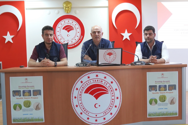 Kuraklığa Dayanıklı Buğday Tohumu Tanıtıldı