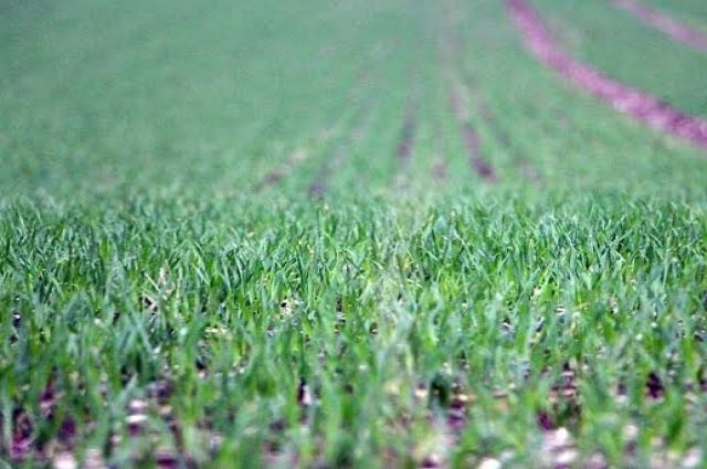 Meteoroloji’den Son Dakika Hava Durumu Raporu: Sağanak Yağış, Kuvvetli Rüzgar ve Toz Taşınımı Uyarısı!
