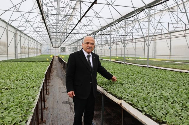 Ordu Kendi Fidesini Üretiyor: 5 Yılda 4 Milyon Adet Toprakla Buluştu!
