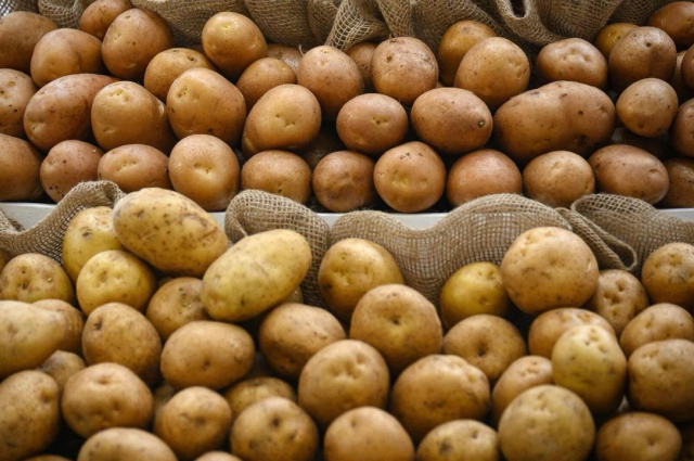 Rusya'da Patates Krizi