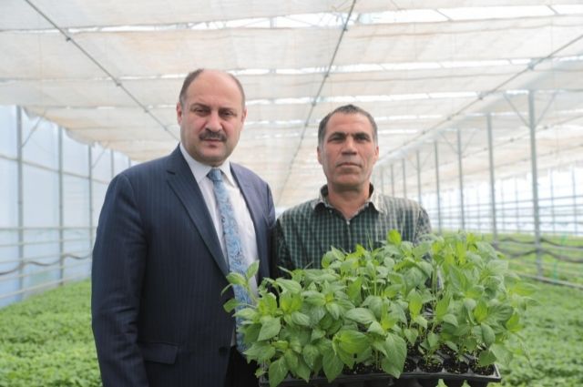 Şanlıurfa Tarımında Çağ Atlanıyor: Ata Tohumdan Teknolojiye Dev Hamle!