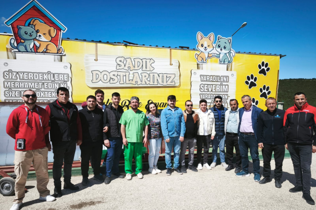 Sokak Hayvanlarına Müdahalede Bilinçli Yaklaşım