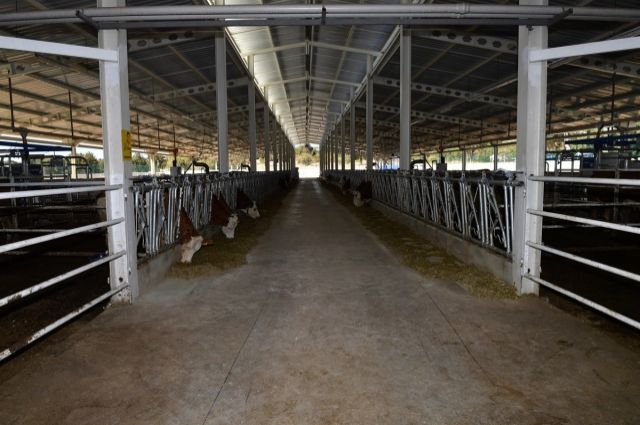 Tarım ve Orman Bakanlığı'ndan Büyük Destek: 329 Projeye 3.6 Milyar TL IPARD III Hibesi!