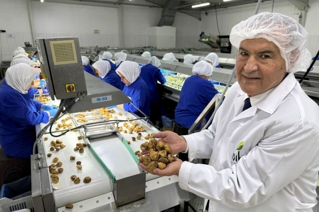 Türk Kuru Meyve İhracatında Yüzde 9 Gelir Artışı Sevinci, Don Kayıpları Endişesi!