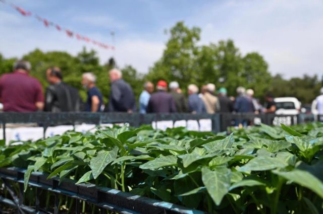 Çiftçiye Müjde: Yüzde 100 Hibe Sebze Fidesi Desteği Başladı!