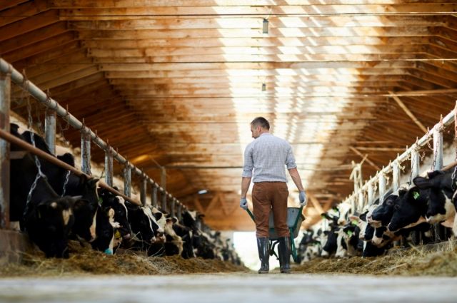 Denizli Tarımına 87.4 Milyon TL Hibe Desteği: Kırsalda 187 Kişiye İstihdam