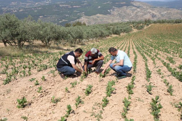 Dolu Mağduru Üreticilere Nefes Aldıran Gübre Desteği!