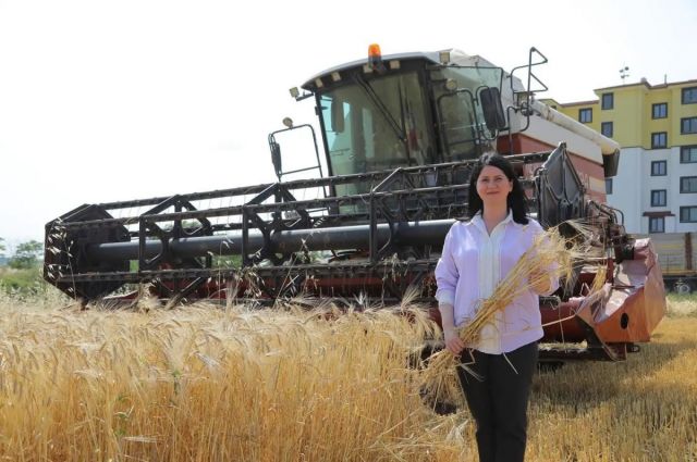 Edirne Belediyesi'nden Rekor Arpa Hasadı