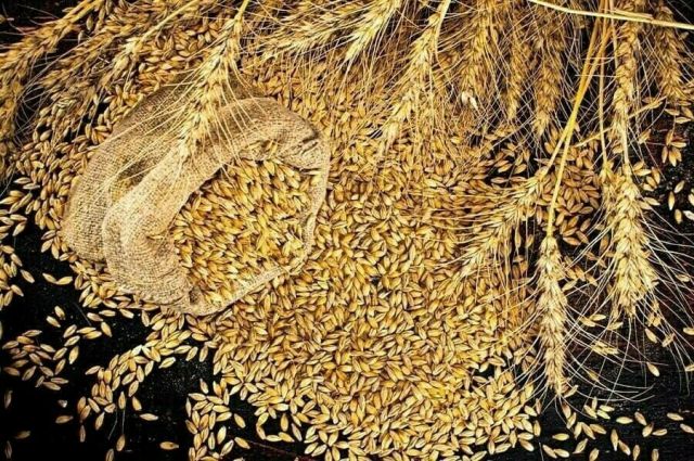 Ermenistan’dan tarım ürünlerine ihracat yasağına 6 ay daha uzatma