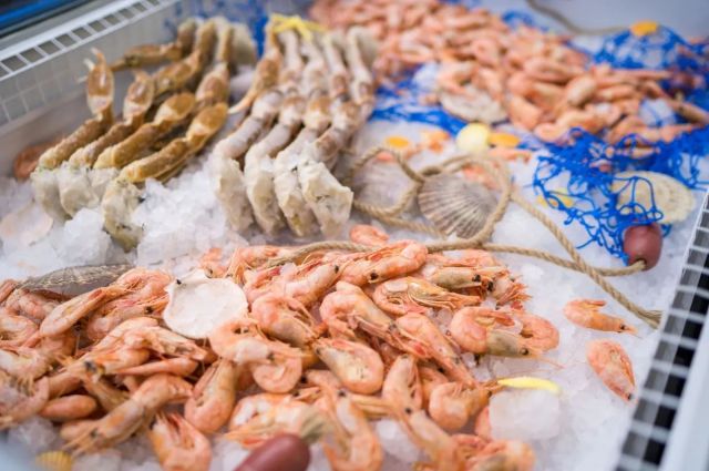 FAO: 2025'te Küresel Su Ürünleri Üretimi Artacak