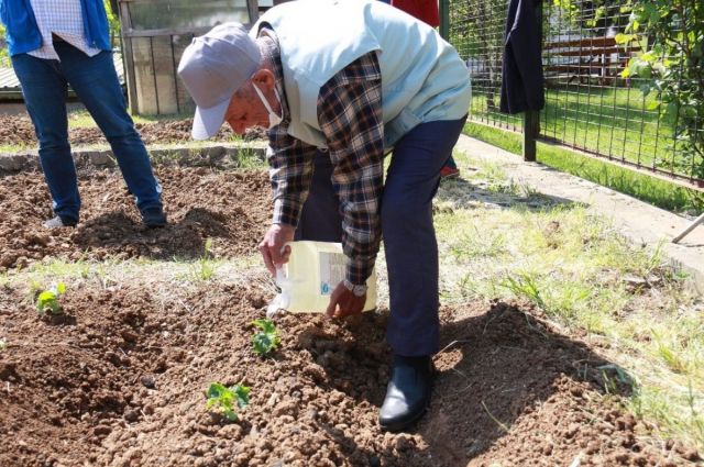 İBB'den Kent Tarımına Destek: Halk Bostanlarına İlgi Artıyor, Yenileri Yolda!