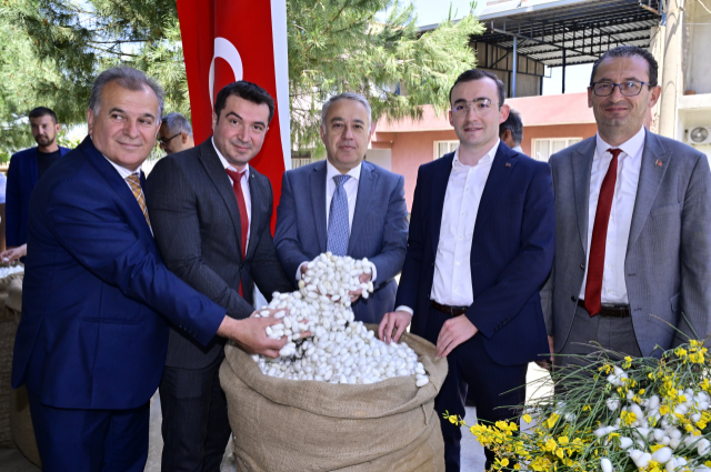 İzmir'de İpekböceği Üretimi Coşkusu